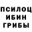 Галлюциногенные грибы мицелий Seroga Sobolev