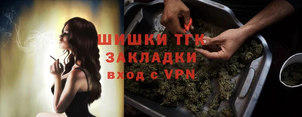 прущие грибы Гусев