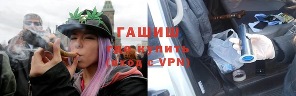 прущие грибы Гусев