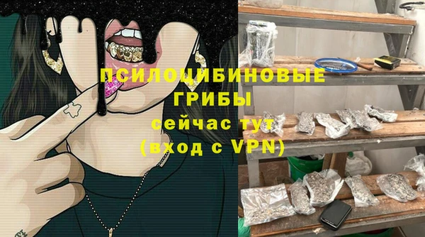 прущие грибы Гусев