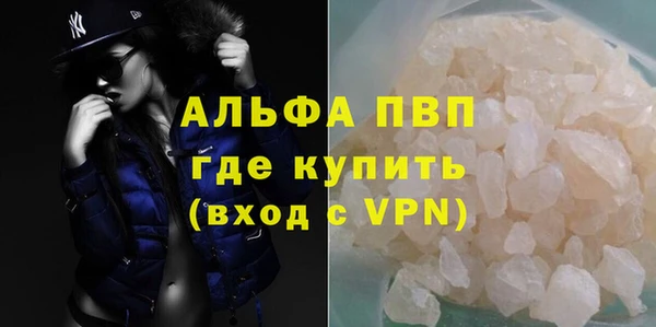 прущие грибы Гусев