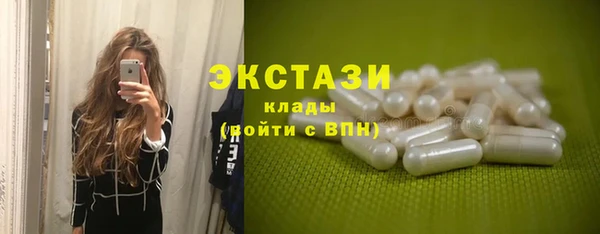 прущие грибы Гусев