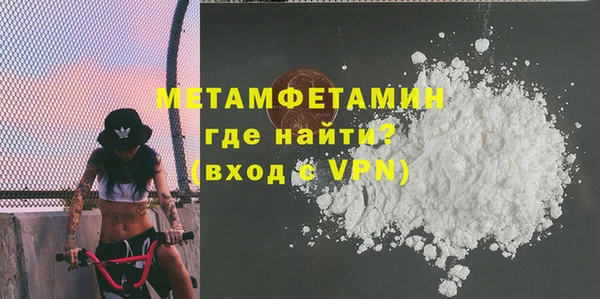 прущие грибы Гусев