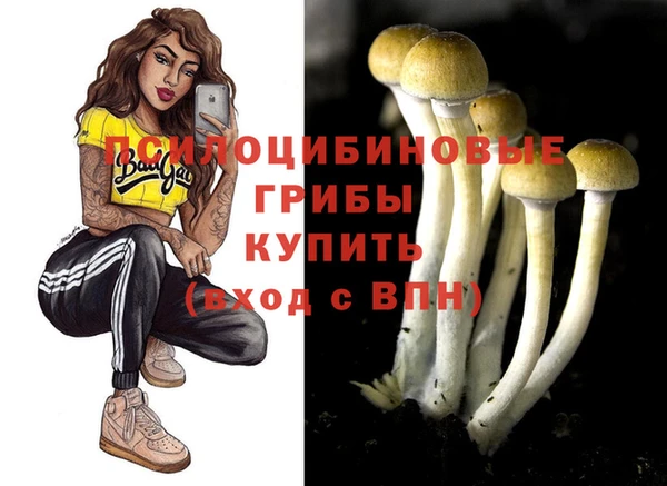СК Гусиноозёрск