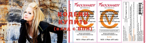 прущие грибы Гусев
