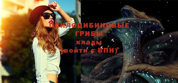 прущие грибы Гусев