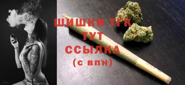 прущие грибы Гусев