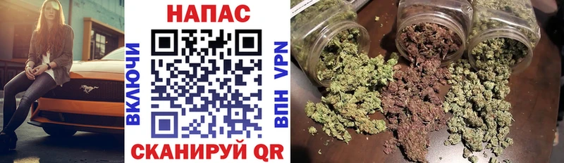 Купить где  Лабинск  Конопля план 